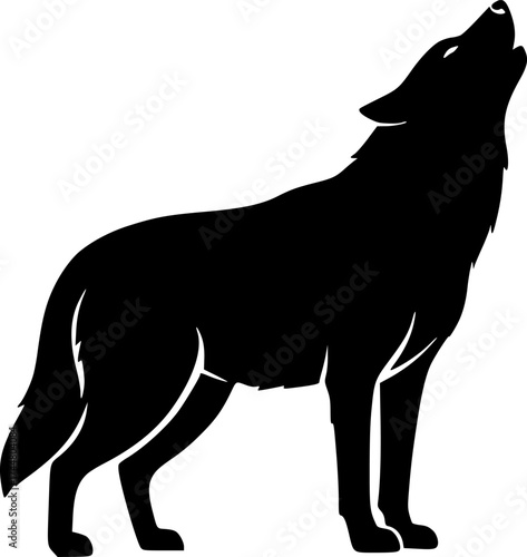 Wolf howling silhouette standing with head raised upward wild canine predator calling moon