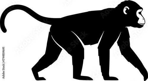 Monkey silhouette walking with curved tail four legs and long arms primate animal side view