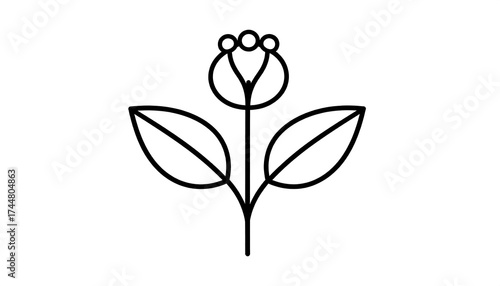 Wallpaper Mural Simple line drawing of a stylized flower.  A black outline depicts a flower with a bulbous center and three small circles. Two leaves extend from the stem Torontodigital.ca