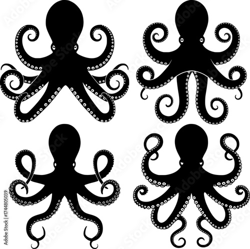 Four octopus silhouettes with curled tentacles and suction cups marine cephalopod animals collection set