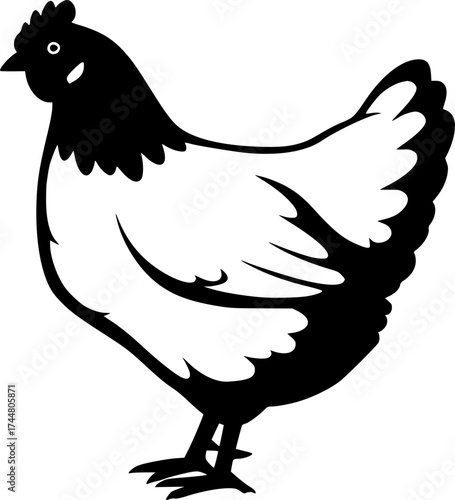 Charming hen silhouette with detailed feathers standing in classic farm poultry pose showcasing barnyard chicken character