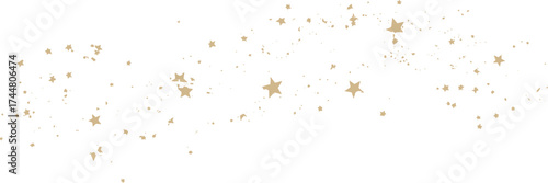 A delicate scattering of golden stars and shimmering particles creates a celestial and magical decorative element on a white background.