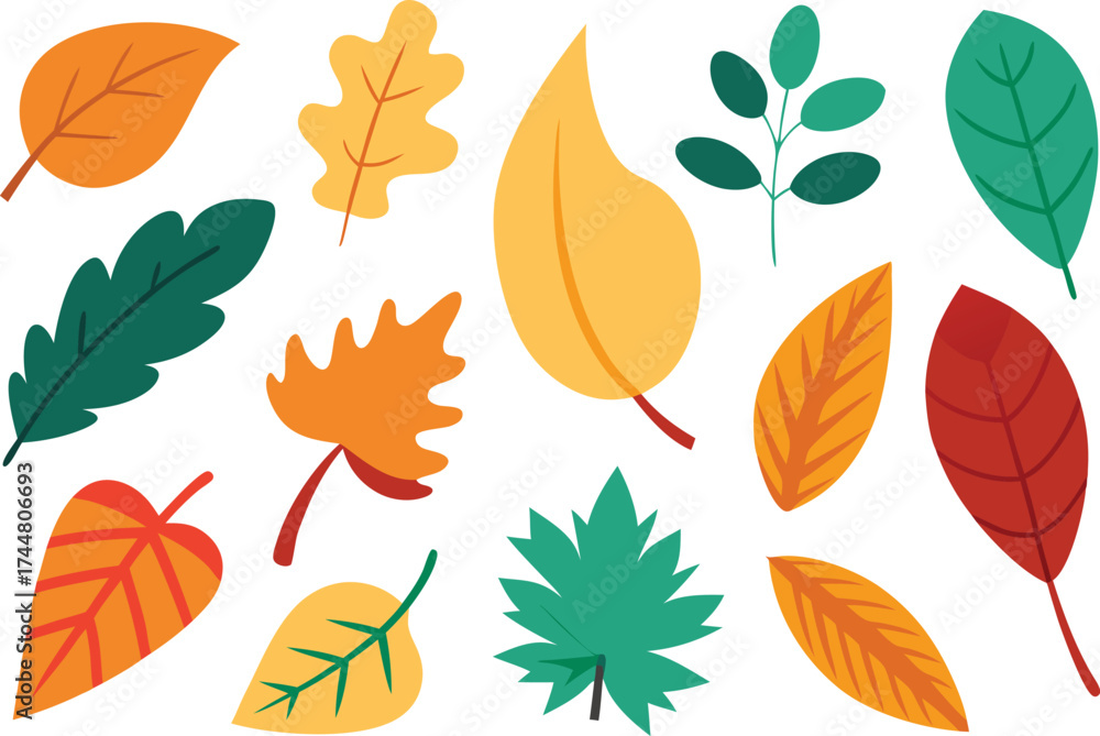 Obraz premium 300 tropical and autumn leaves vector illustration bundle eps scalable icon collection