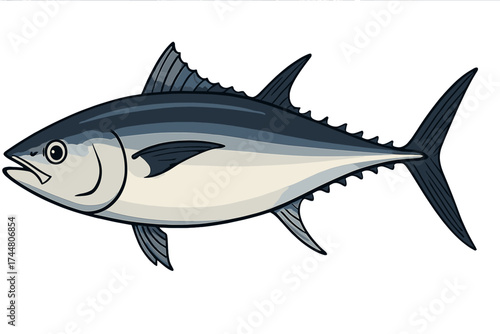 Realistic vector illustration of tuna fish with transparent background, detailed aquatic marine life drawing, ocean fish, seafood concept, fishing industry element, underwater wildlife