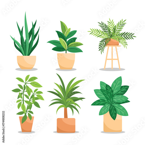 set of plants in pots