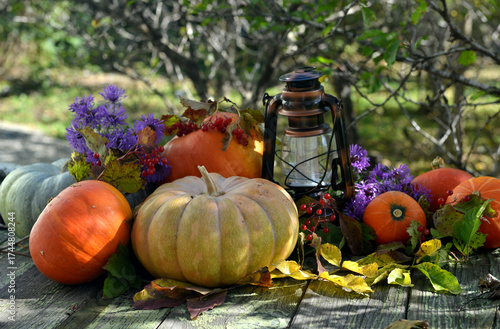 Wallpaper Mural Vintage still life with pumpkins, flowers and decorations outside, thanksgiving day background, autumn calendar season concept Torontodigital.ca
