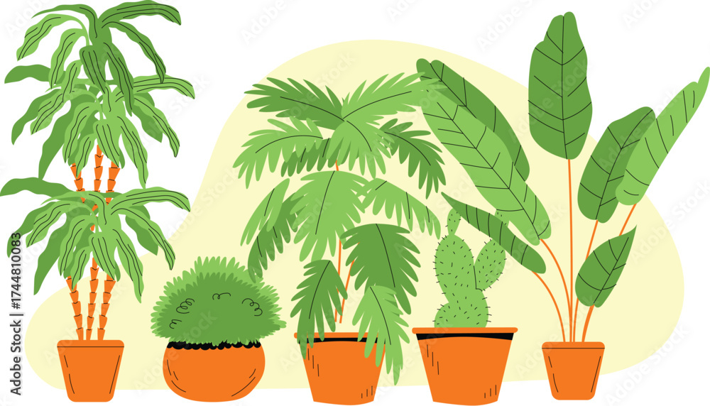 Obraz premium palm tree in a pot