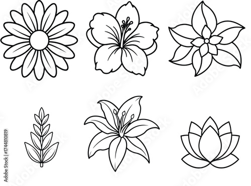 Beautiful flower outline vector bundle featuring daisy, hibiscus, lily, lotus, and leaf illustrations in clean botanical line art style. Each design is minimal, elegant, and perfect for coloring pages