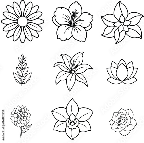 Beautiful flower outline vector bundle featuring nine different floral designs such as rose, hibiscus, daisy, lily, lotus, orchid, marigold, and leaf elements. Each flower is created in clean botanica