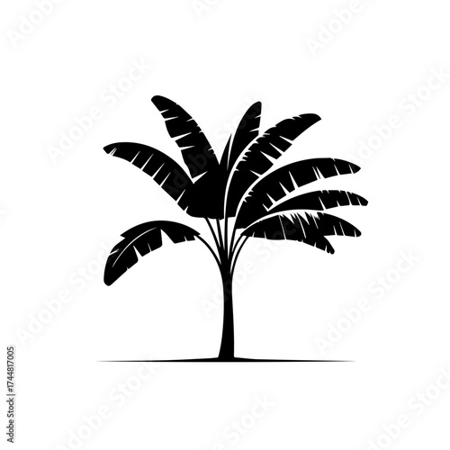 Banana Tree Vector Illustration – Tropical Banana Plant with Green Leaves and Hanging Fruit Bunch
