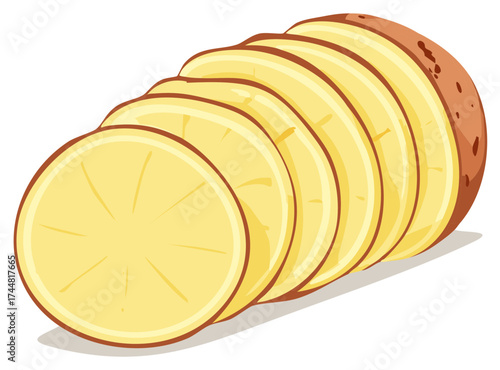 Fresh sliced raw potato vegetable vector illustration for cooking
