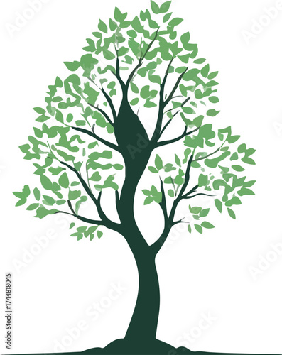 green tree isolated on white background