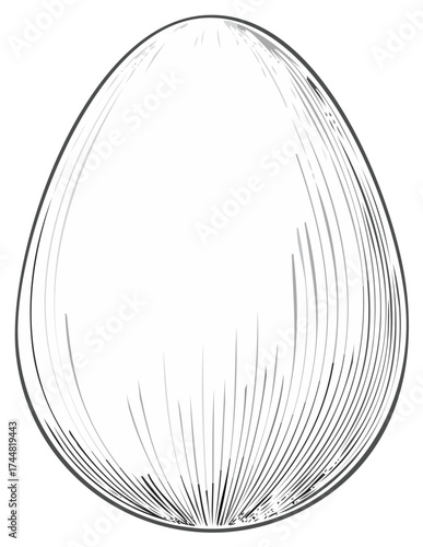 Hand-drawn egg vector illustration with line art technique for design elements