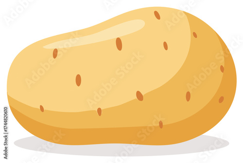 Illustrated fresh potato vegetable, isolated, with natural skin