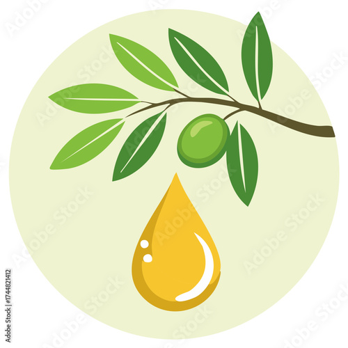 Green olive branch with a drop of golden extra virgin olive oil vector icon