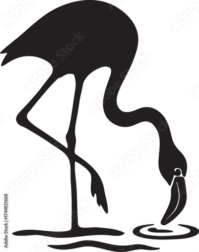 Black silhouette of a flamingo drinking water isolated on white background