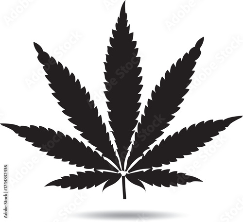cannabis leaf vector illustration