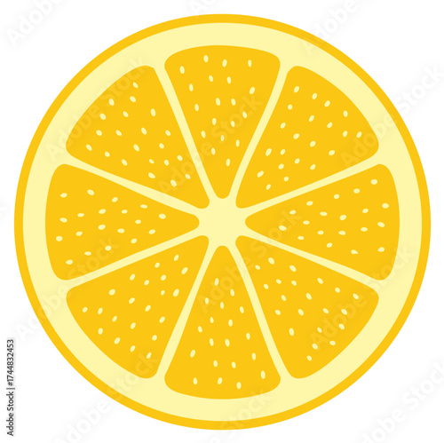 Bright Yellow Orange Citrus Fruit Slice Illustration Close Up Vivid Freshness