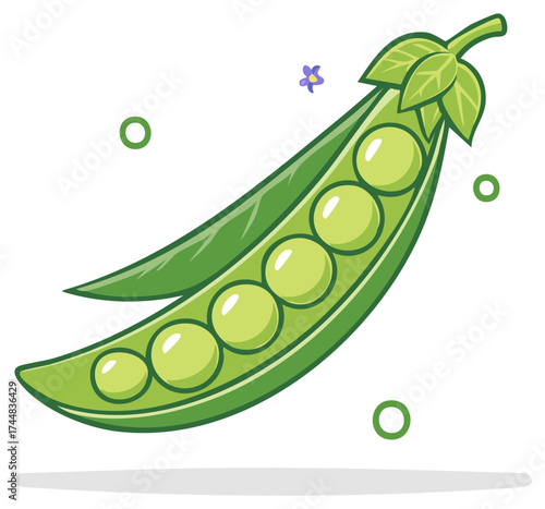 Fresh Green Pea Pod with Seeds and a Small Purple Flower