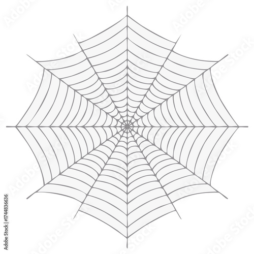 Spider web illustration, detailed gray lines, for Halloween decor or graphic design.