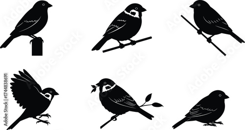 Silhouette birds perched on branches, flying bird in motion, black bird illustration set, avian wildlife design, nature animal vector, decorative bird shapes