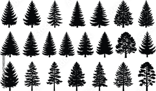 Coniferous Tree Silhouette Bundle Featuring 24 Unique Evergreen Shapes, Botanical Diversity, Forest Elements, Pine Variants for Design and Study