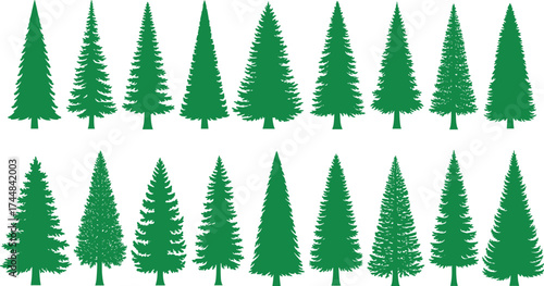 Set of green conifer tree silhouettes showing diverse foliage styles and species for nature design, forest illustration, and vector use