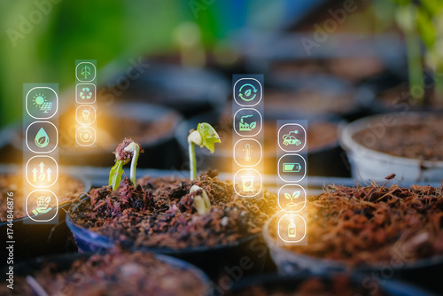 Cuadro en lienzo Two small seedlings sprout from rich soil, glowing, circular array of sustainabi