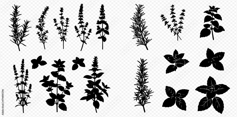 Fototapeta premium A collection of black silhouettes of various culinary herbs like rosemary, basil, and thyme on a transparent background.