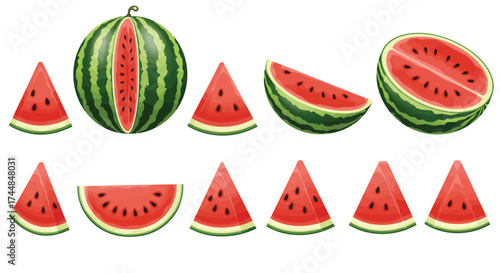 Watermelon slices and a whole fruit a vibrant refreshing summer illustration