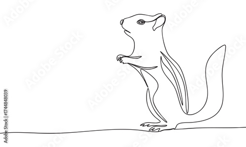 Chipmunk Line Drawing