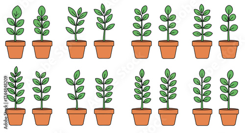 A collection of potted plants in varying stages of growth displayed neatly