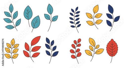 Colorful botanical illustration featuring various leaf shapes and vibrant hues