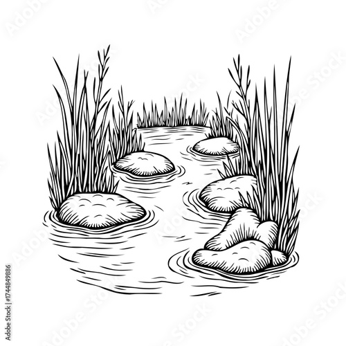 Serene stream with smooth rocks and swaying reeds hand drawn black and white illustration