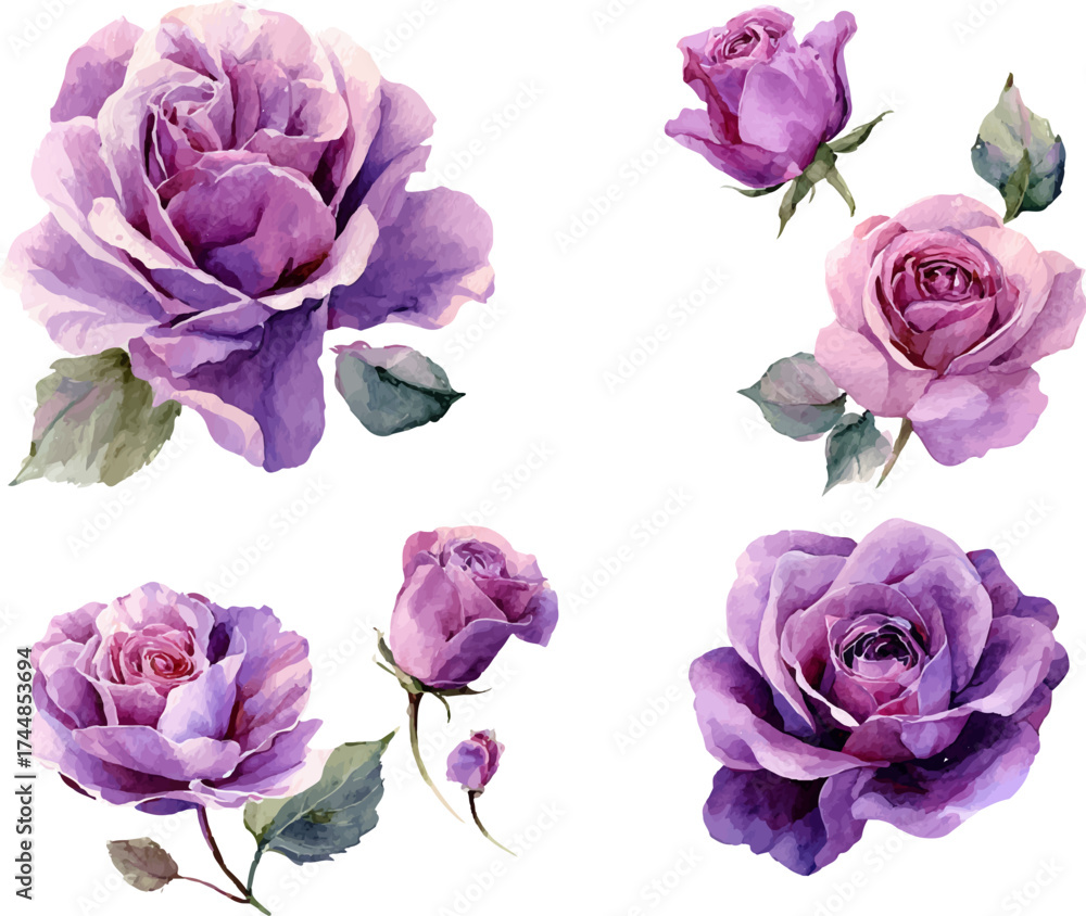 Fototapeta premium bouquet of roses