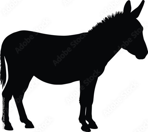 Silhouette of a donkey standing on white background, farm animal vector illustration, agriculture concept, wildlife, countryside livestock, black mule outline design