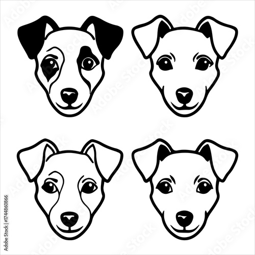 A Lively Alert Jack Russell Terrier Dog, Showcasing his Energetic Playful Loyal Nature, a Terrier Breed with a Fearless Hunting Instinct and Expressive Eyes