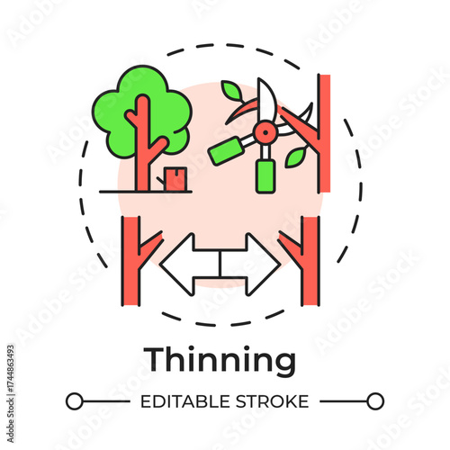 Thinning multi color concept icon. Ecosystem health, environment. Forest sustainability. Round shape line illustration. Abstract idea. Graphic design. Easy to use in brochure, booklet