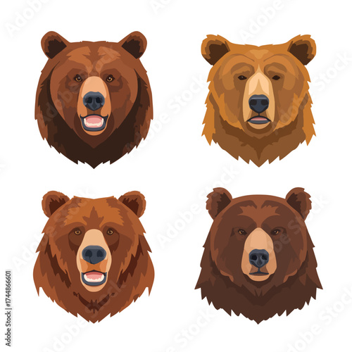 Simple grizzly bear face illustration isolated on white
