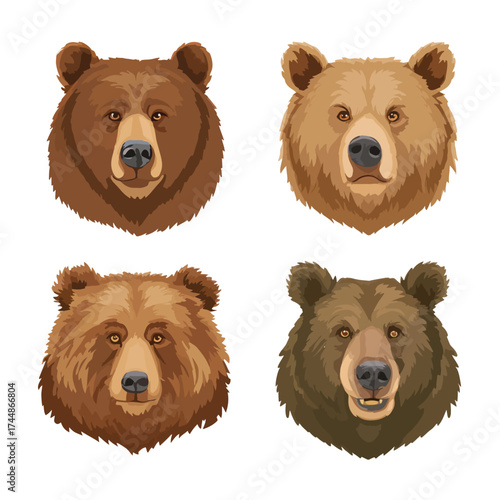 Simple grizzly bear face illustration