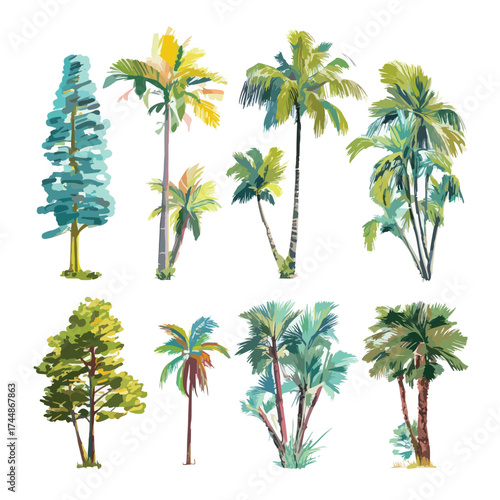 Isolated palm tree illustration on white background