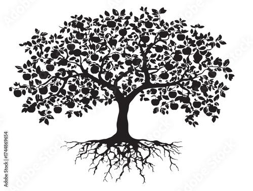 Apple Tree With Root System Silhouette Vector Illustration Art