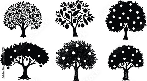 Fruit tree silhouette, black and white illustration, orchard design element, botanical sketch art, decorative foliage drawing, agricultural nature background, educational orchard graphic