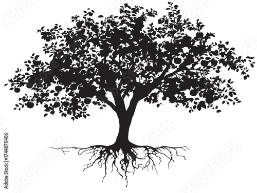 Orchard Apple Tree With Extensive Root System Silhouette Design