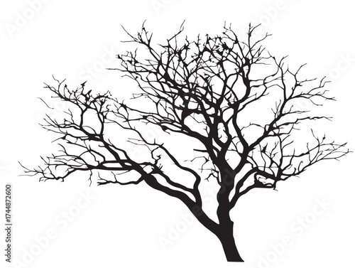 Bare Branch Tree Silhouette Vector Illustration Solid Black Art