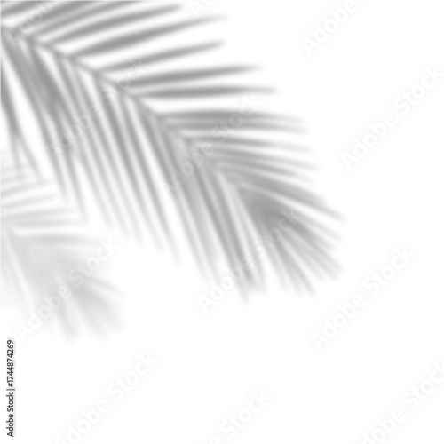 black and white background