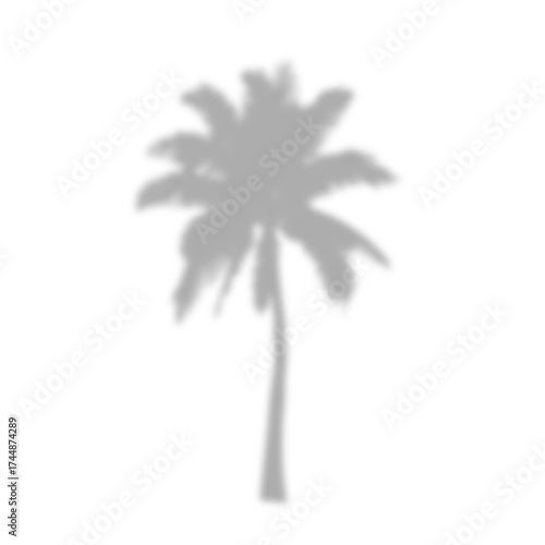 vector illustration of a tree