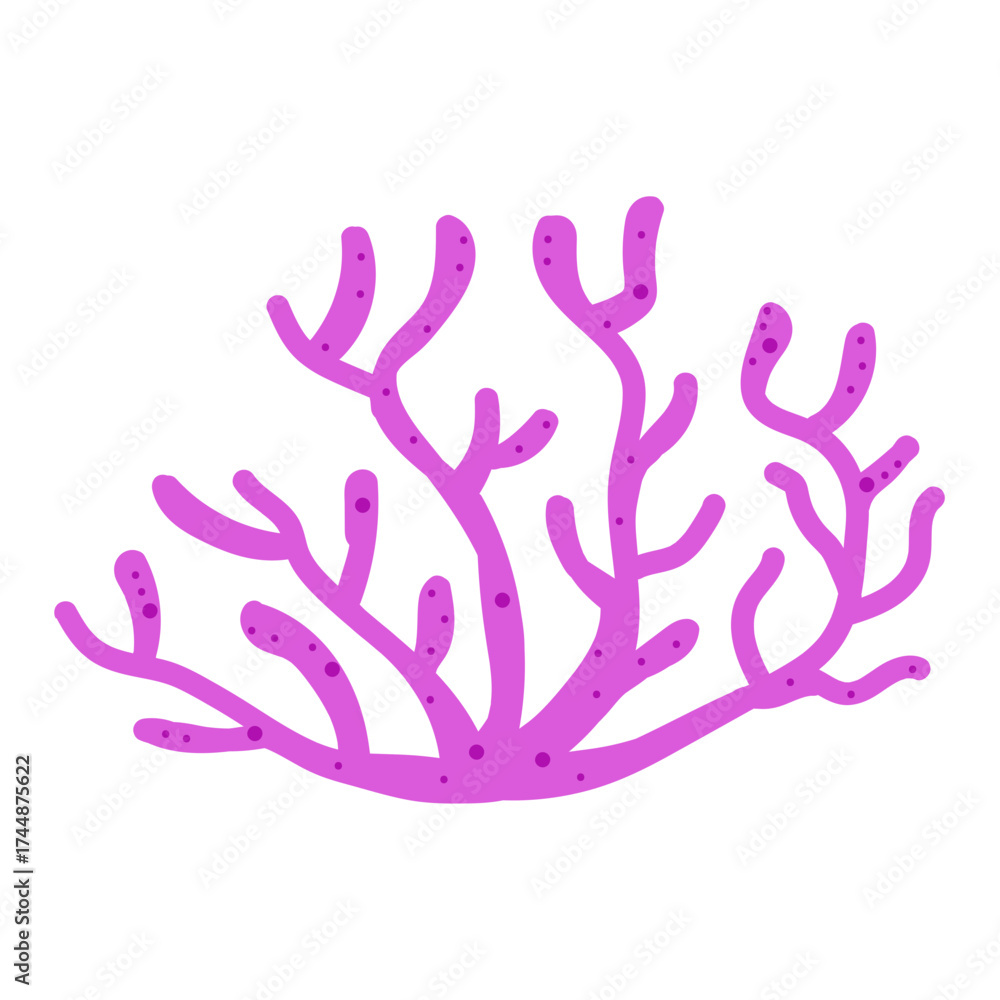 Obraz premium Coaral Nature Aquatic