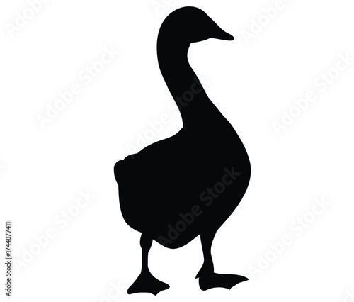 Black silhouette of a goose standing on white bird