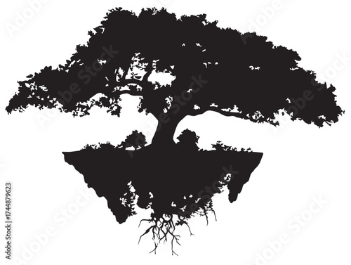 Majestic Cliff Trees With Extensive Root Networks Silhouette